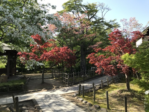 憩の泉　春の外出行事♪